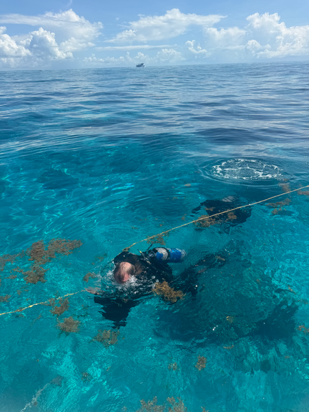 Exploring vibrant coral reefs in Key Largo's crystal waters.