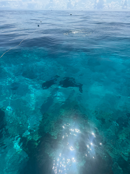 Crystal clear waters reveal the underwater world in Key Largo.