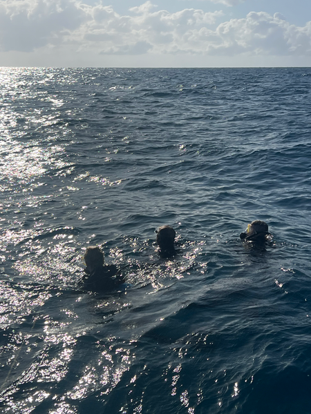 Open water swimming in Key Largo's ocean waves!