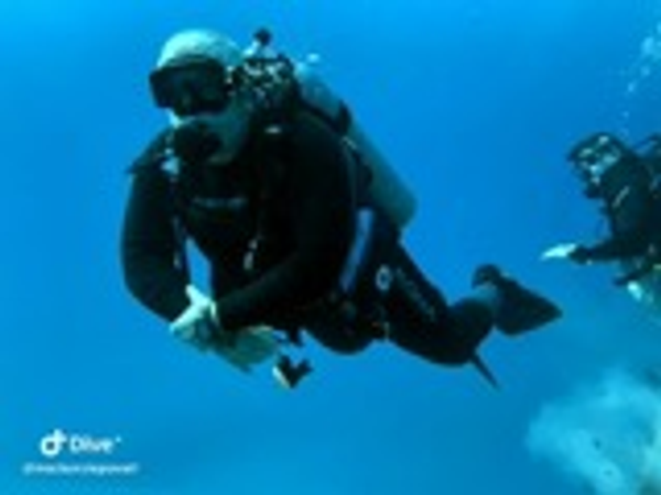 Exploring the underwater world of Key Largo waters!