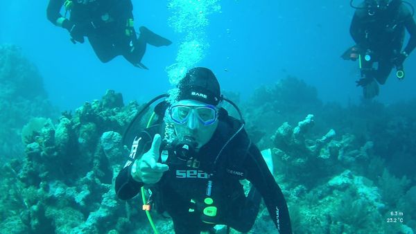 Exploring vibrant coral reefs in Coral Springs Florida!