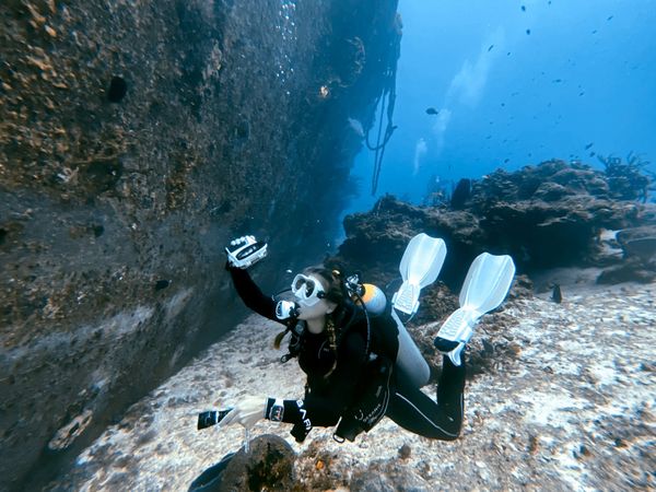 Exploring vibrant coral formations in Coral Springs waters!