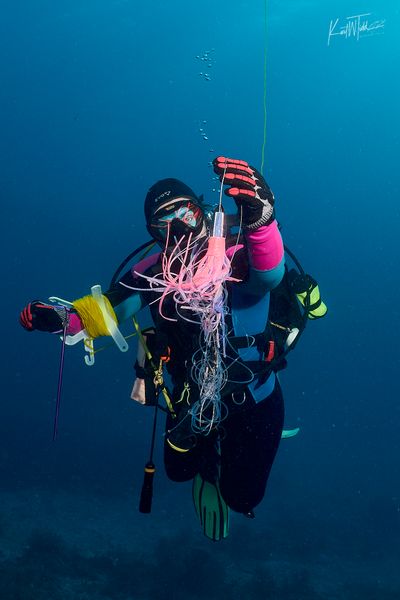 Key Dives-galleryimage-3