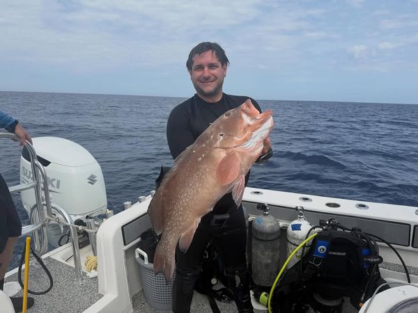 Beautiful red grouper caught in Ocala FL waters!