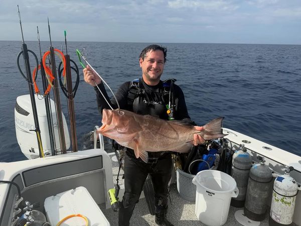 Red grouper success in Ocala FL waters!