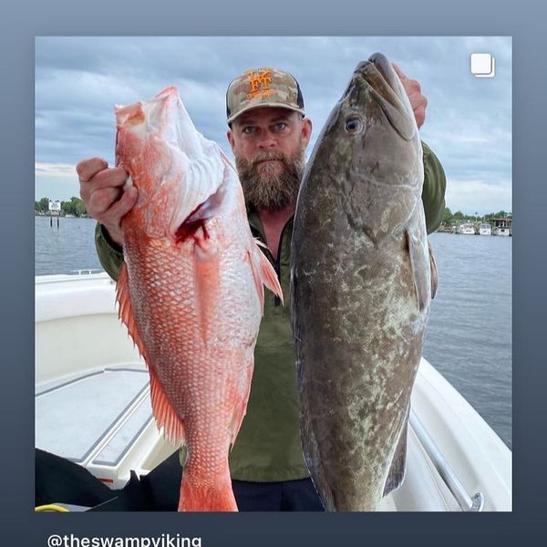 Double trouble with red snapper and gag grouper!