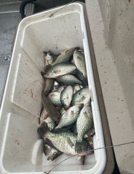 Great day of crappie fishing in Forney TX!