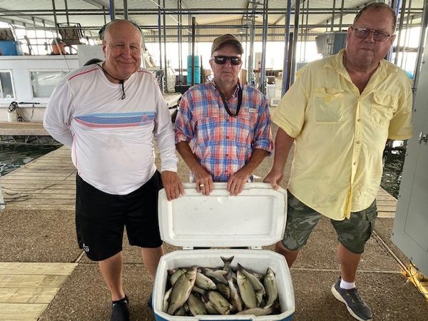 Crappie in Forney, TX
