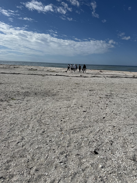 Beach fishing adventure at Marco Island FL awaits!