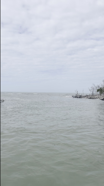 Perfect fishing waters await at Marco Island today!