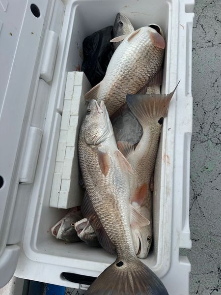 Jerrys Fishing Charters-galleryimage-7
