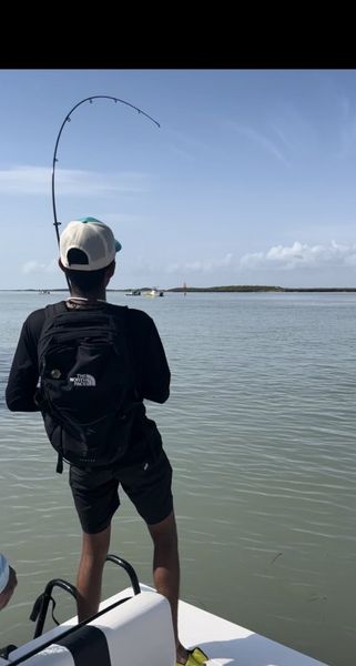 Hooked up inshore action