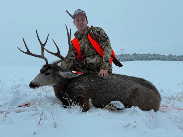 Silver Spur Outfitters-galleryimage-1