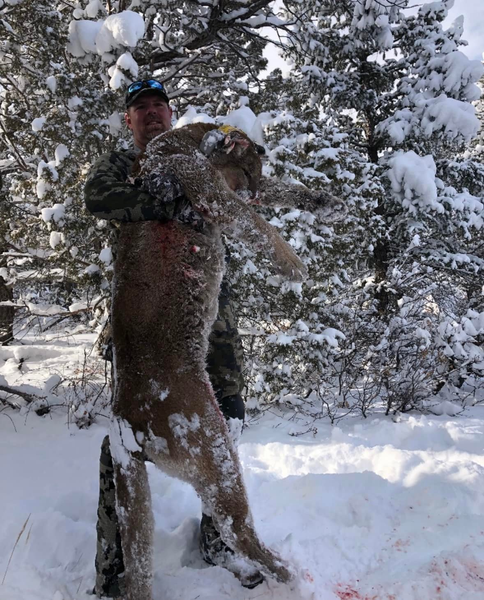 The suspense of rifle hunting in Colorado.