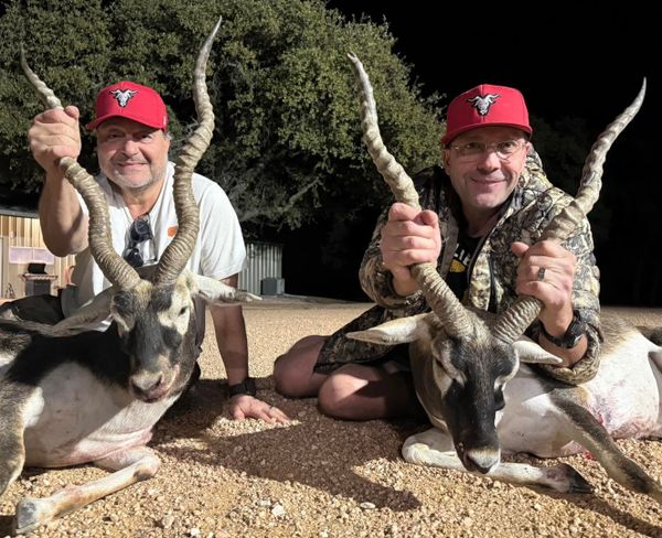 Plan your next Texas hunting adventure and experience the excitement of the Lone Star State.