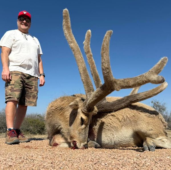 From the first light to the final shot, every Texas hunt is an adventure worth remembering.