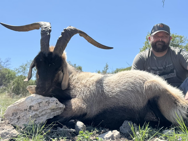 Ram Slam Packages in Texas