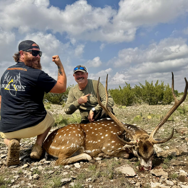 Axis Texas Hunting With Angry Goat In Texas