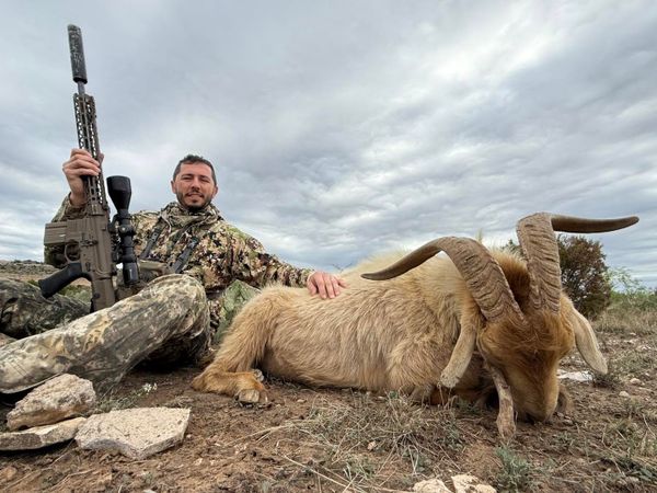 Step into the Texas wilderness and experience hunting where opportunity meets wide-open country.