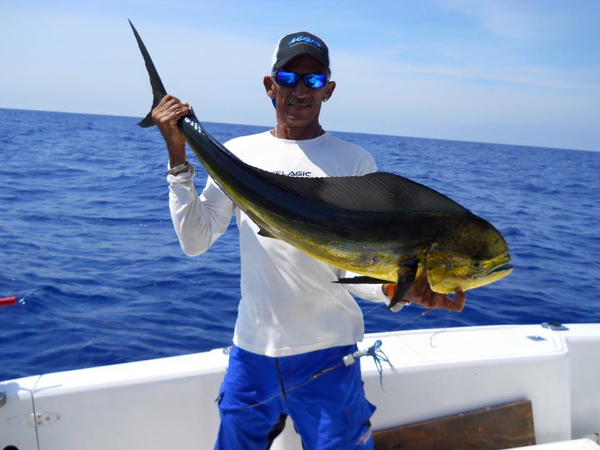Reel in Paradise, Cayman Style