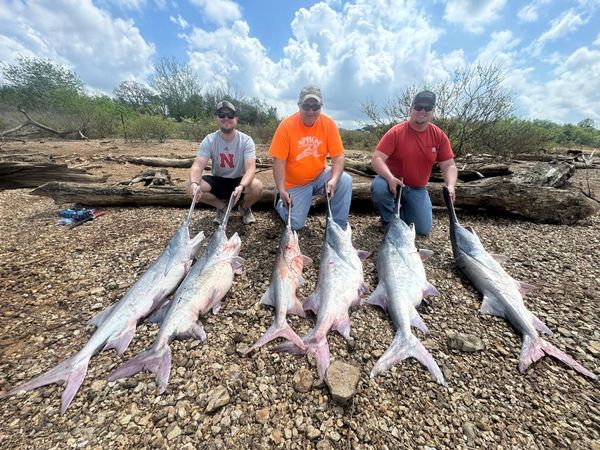 Big paddlefish, big memories—Truman Lake fishing trips that deliver trophy results.