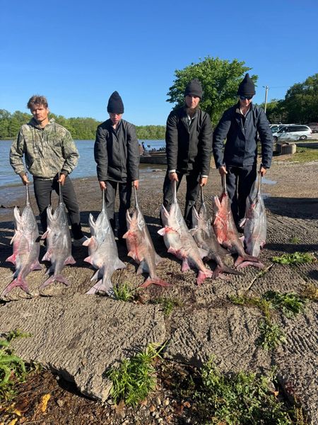 Target giant paddlefish on Truman Lake with expert-guided snagging trips and proven techniques.