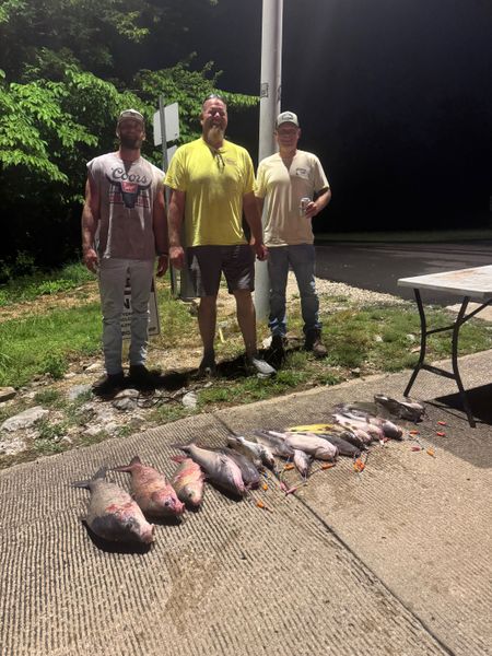 Great day on the water with this impressive catch!