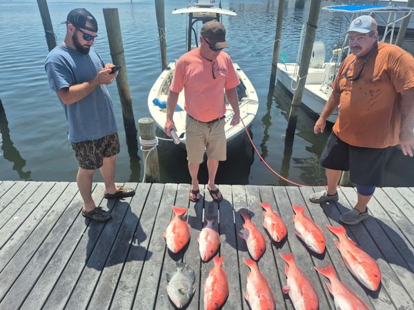 Snapper stacked and ready!