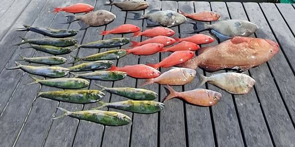 PCB fishing never disappoints