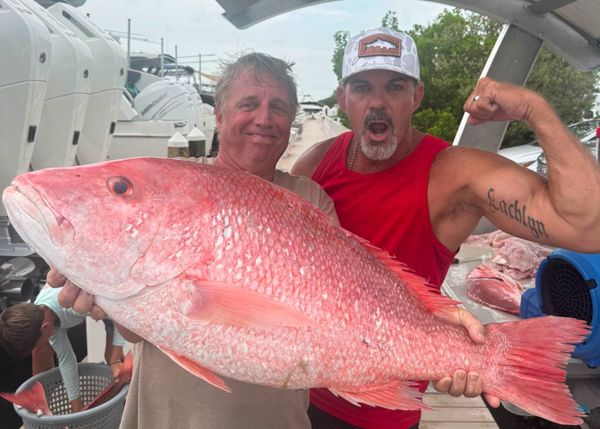 Trophy red snapper from Panama City FL waters!