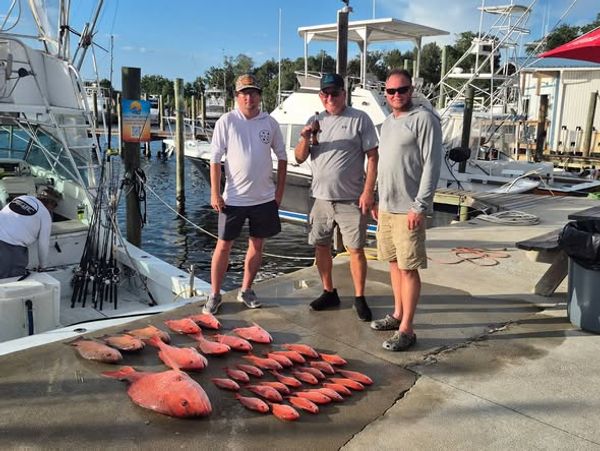 Outstanding red snapper haul from Panama City waters!
