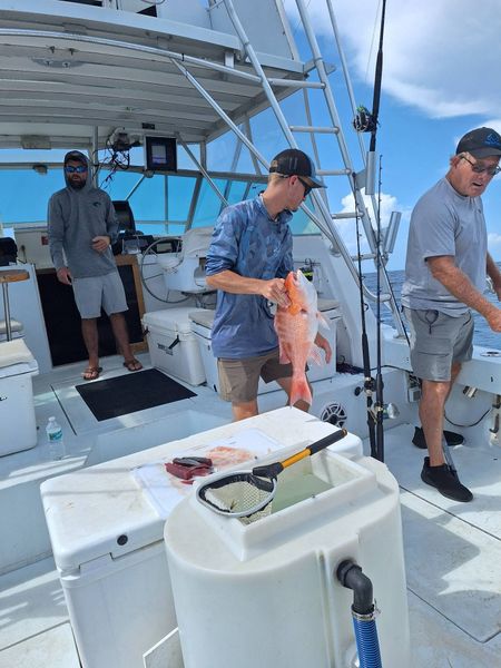 Fresh red snapper from Panama City waters!