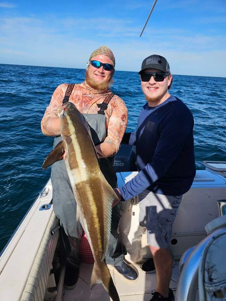 Another impressive cobia brought to the boat!