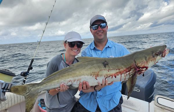 Refined fishing adventures start in the waters of Clearwater.