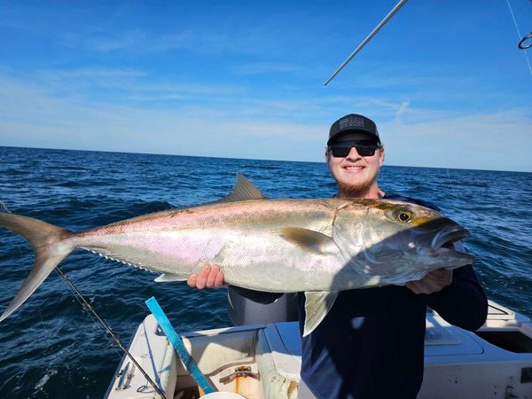 What a Greater Amberjack catch on the open water!