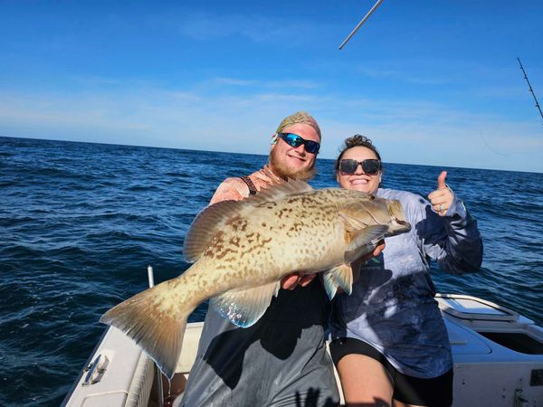 Another trophy gag grouper in the boat!