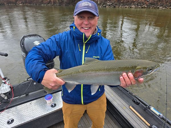Rainbow trout dreams come true in Michigan waters