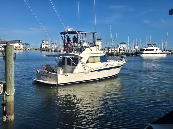 Enjoy a relaxing day on the water with a Gulfport family fishing trip that combines beautiful coastal scenery with steady fishing action.