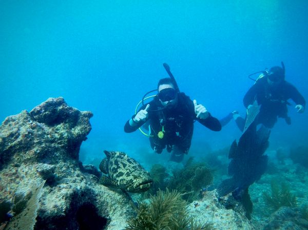 Goliath Grouper encounter in Key Largo waters!