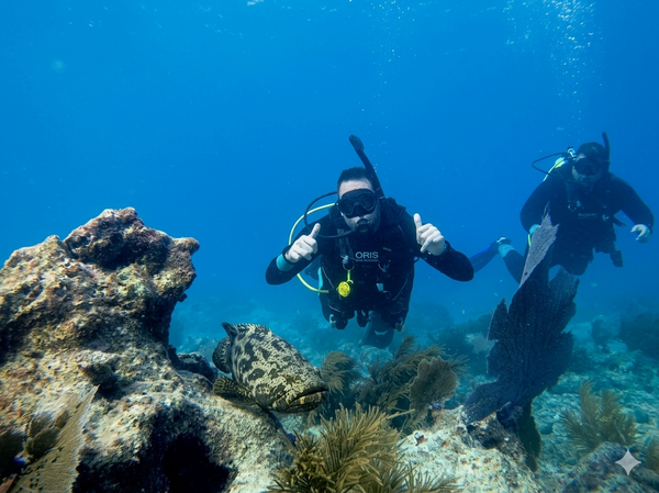Sea Dwellers Dive Center-galleryimage-0