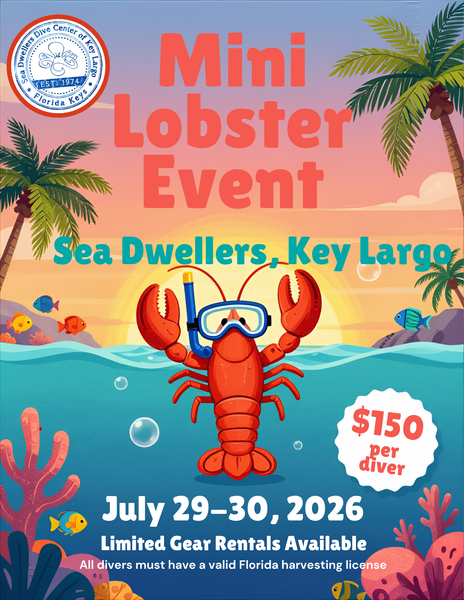 Mini lobster season diving event in Key Largo