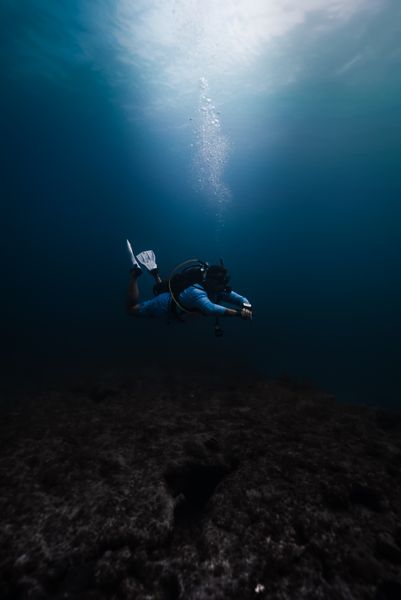Exploring the depths where adventure meets discovery.