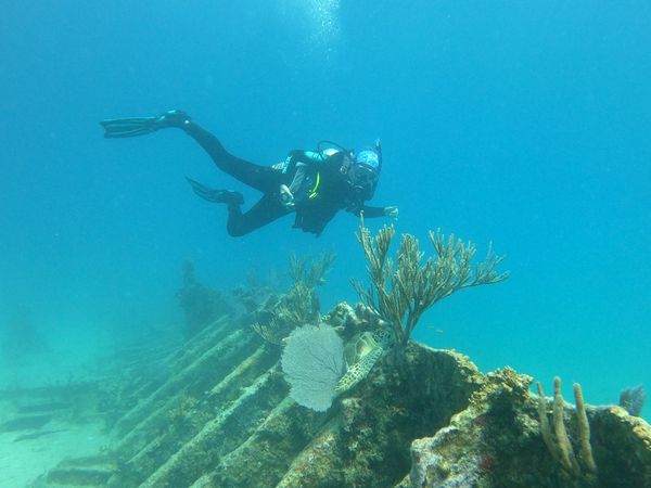 Exploring vibrant coral-covered shipwreck during underwater dive adventure