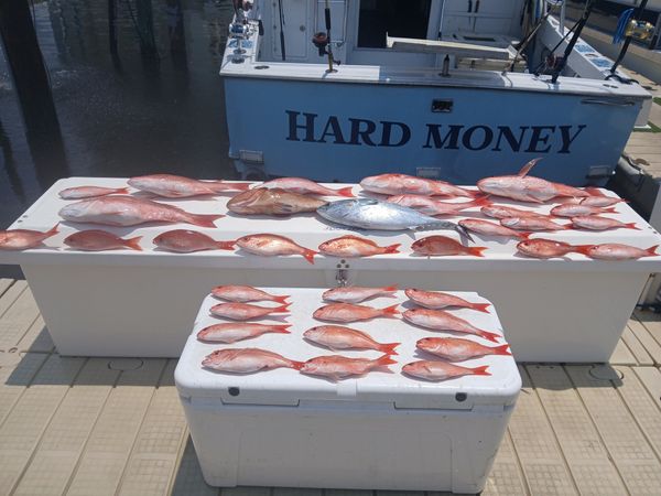 Action-packed Gulf Coast fishing with Red Snapper, Grouper, and Pompano on Hard Money!