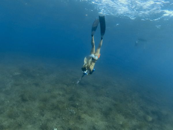 Fun for everyone! Join a small-group snorkeling tour in Boynton Beach with personal guidance and local tips