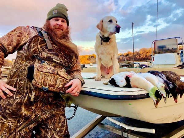 Waterfowl Ready in Upstate NY