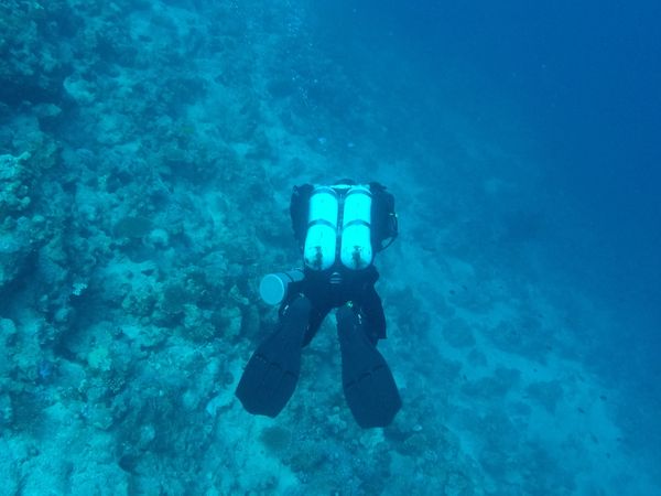 Exploring vibrant coral formations in crystal clear waters.