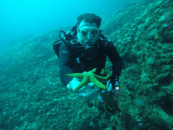 Discovering marine life treasures during underwater exploration dive