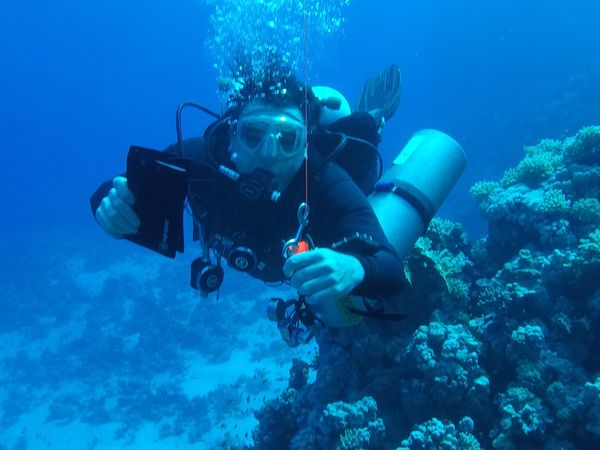 Precision drilling work on vibrant coral formations underwater.