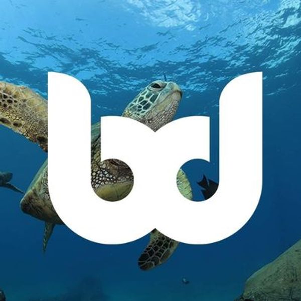 BlueWater Divers-galleryimage-0